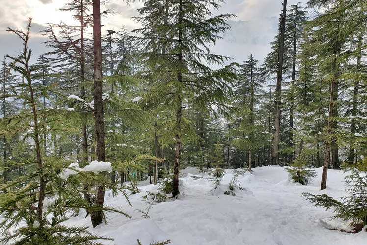 Fun Filled Kashmir Holidays Tour & Travels | Discover the enchanting beauty of Kashmir with Fun Filled Kashmir Holidays Tour & Travel packages. Explore breathtaking landscapes, serene lakes, and vibrant local culture. Perfect for adventure seekers and those looking for a peaceful retreat, our tours offer unforgettable experiences tailored to your interests.