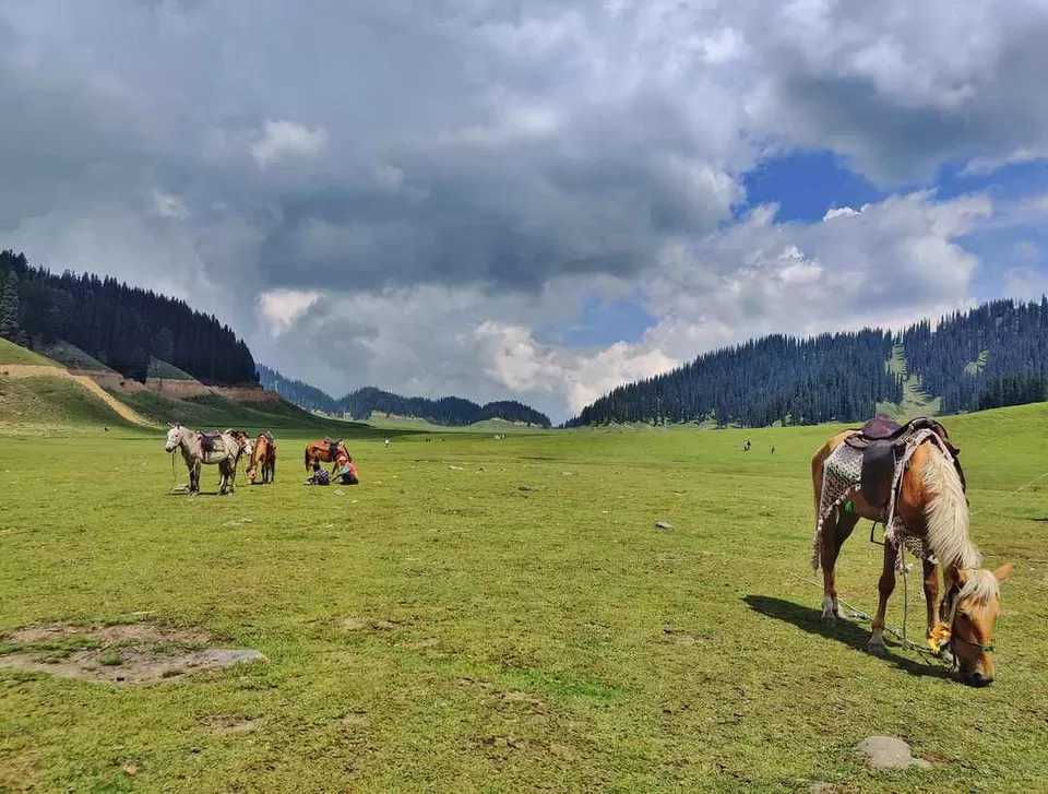 Fun Filled Kashmir Holidays Tour & Travels | Discover the enchanting beauty of Kashmir with Fun Filled Kashmir Holidays Tour & Travel packages. Explore breathtaking landscapes, serene lakes, and vibrant local culture. Perfect for adventure seekers and those looking for a peaceful retreat, our tours offer unforgettable experiences tailored to your interests.