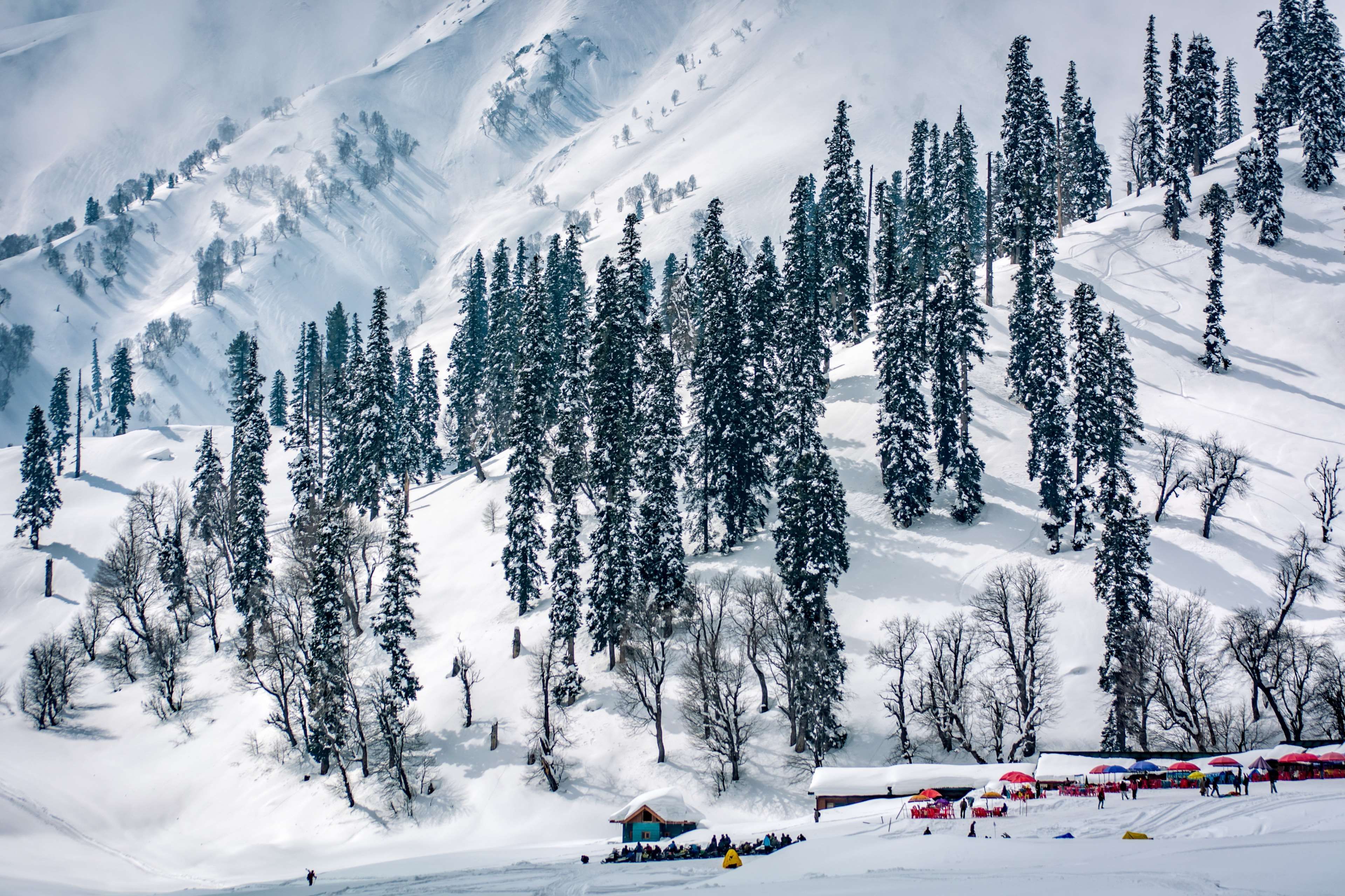 Fun Filled Kashmir Holidays Tour & Travels | Discover the enchanting beauty of Kashmir with Fun Filled Kashmir Holidays Tour & Travel packages. Explore breathtaking landscapes, serene lakes, and vibrant local culture. Perfect for adventure seekers and those looking for a peaceful retreat, our tours offer unforgettable experiences tailored to your interests.